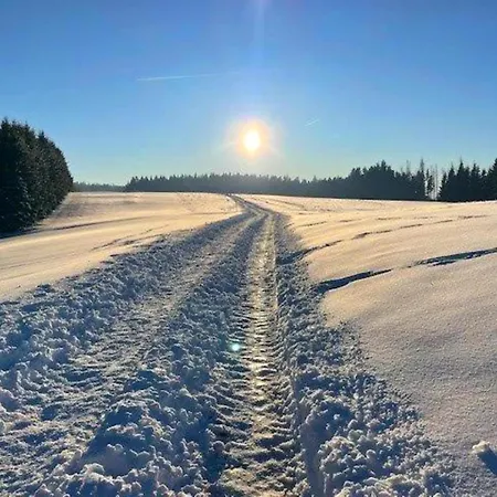 Pleasing In Near Forest