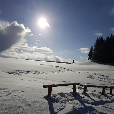 Апартаменты Flat In Black Forest *