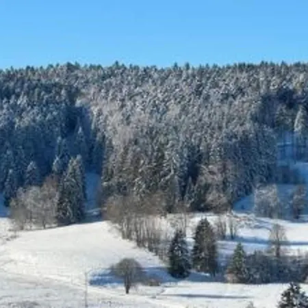 Апартаменты Flat In Black Forest