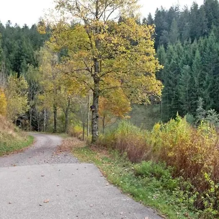 Flat In Black Forest Апартаменты Herrischried