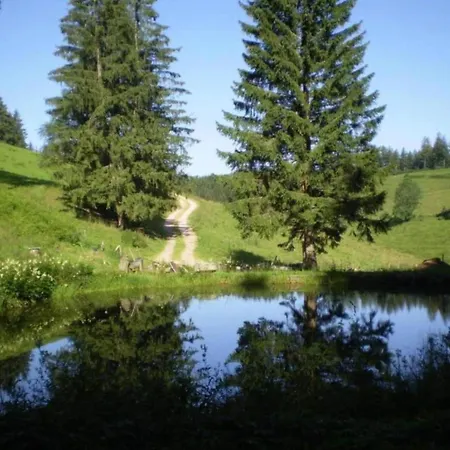 Ferienwohnung, Herrischried